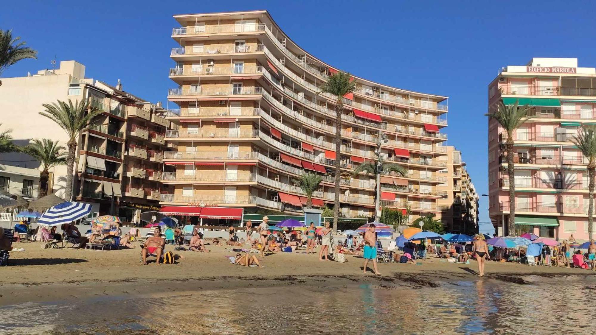 Garden Beach Apartment Τορεβιέχα Εξωτερικό φωτογραφία