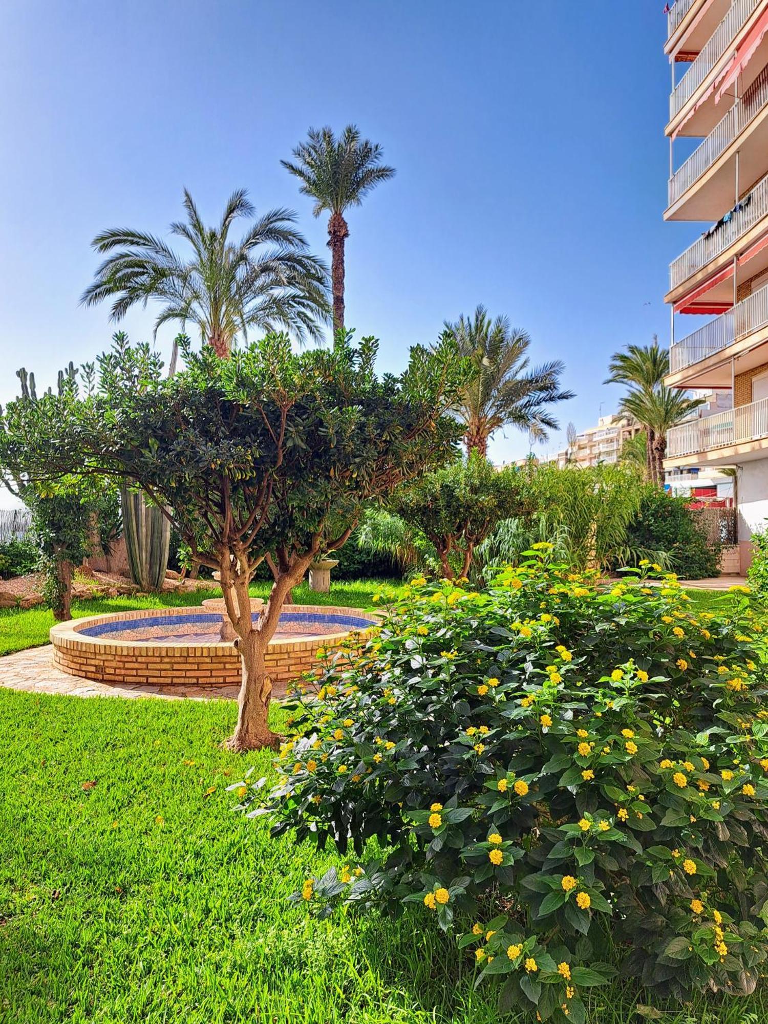 Garden Beach Apartment Τορεβιέχα Εξωτερικό φωτογραφία