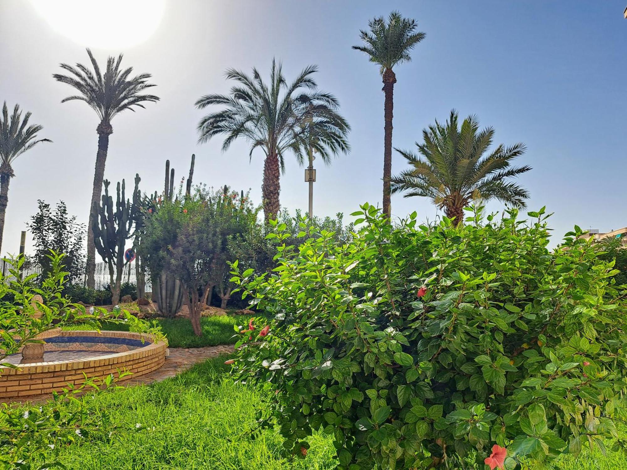 Garden Beach Apartment Τορεβιέχα Εξωτερικό φωτογραφία